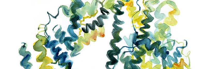 NicolasJonsson's profile banner image
