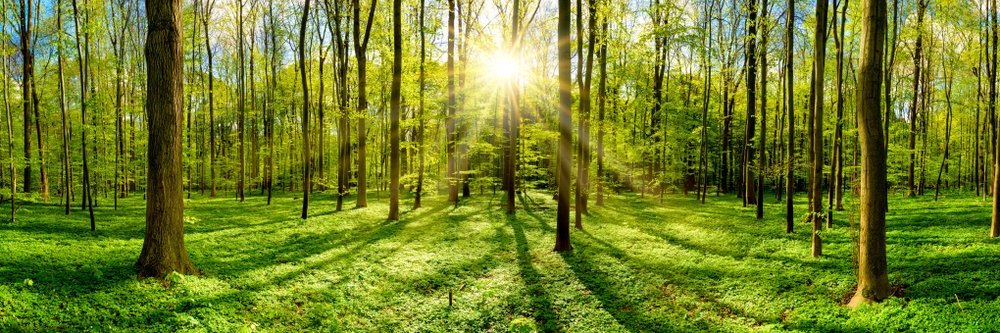 World Travel Guide banner