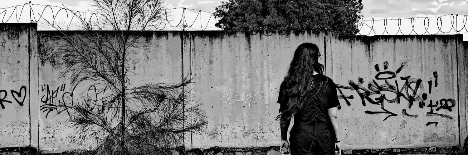 carloxscream's profile banner image