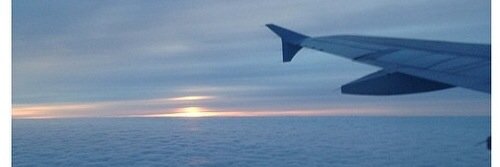 Nina McCann banner