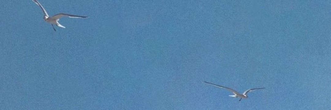 niamhisonline's profile banner image