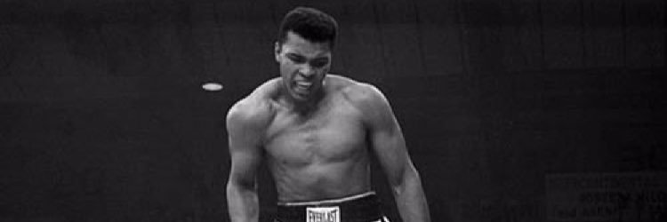 7Boxing24's profile banner image