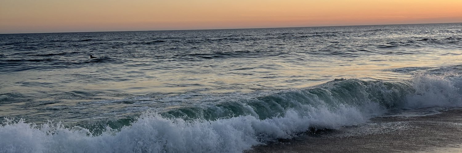 _raylua's profile banner image