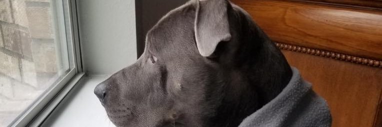 SaulMiranda19's profile banner image