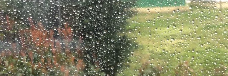 busraosturk's profile banner image