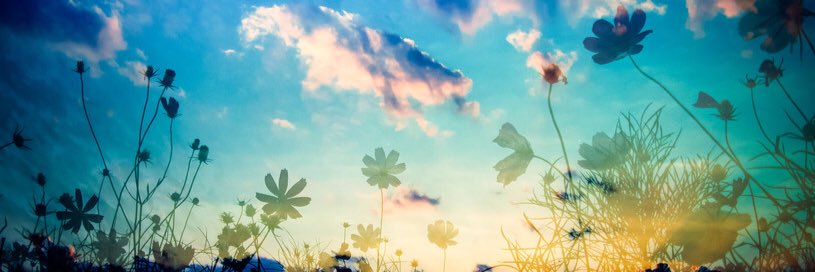 _Yamatoooon's profile banner image