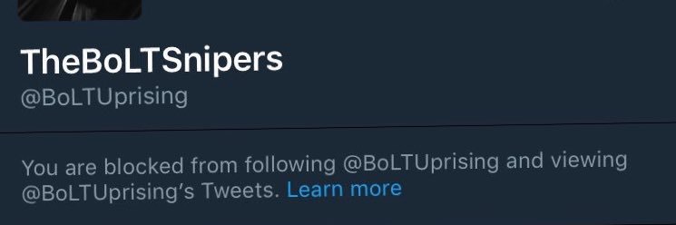 monic (with minimal gucci) banner