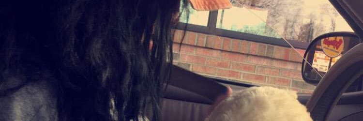 ㊙️ banner