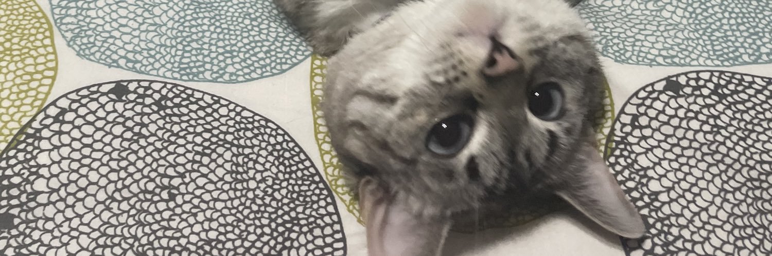 Komishika's profile banner image