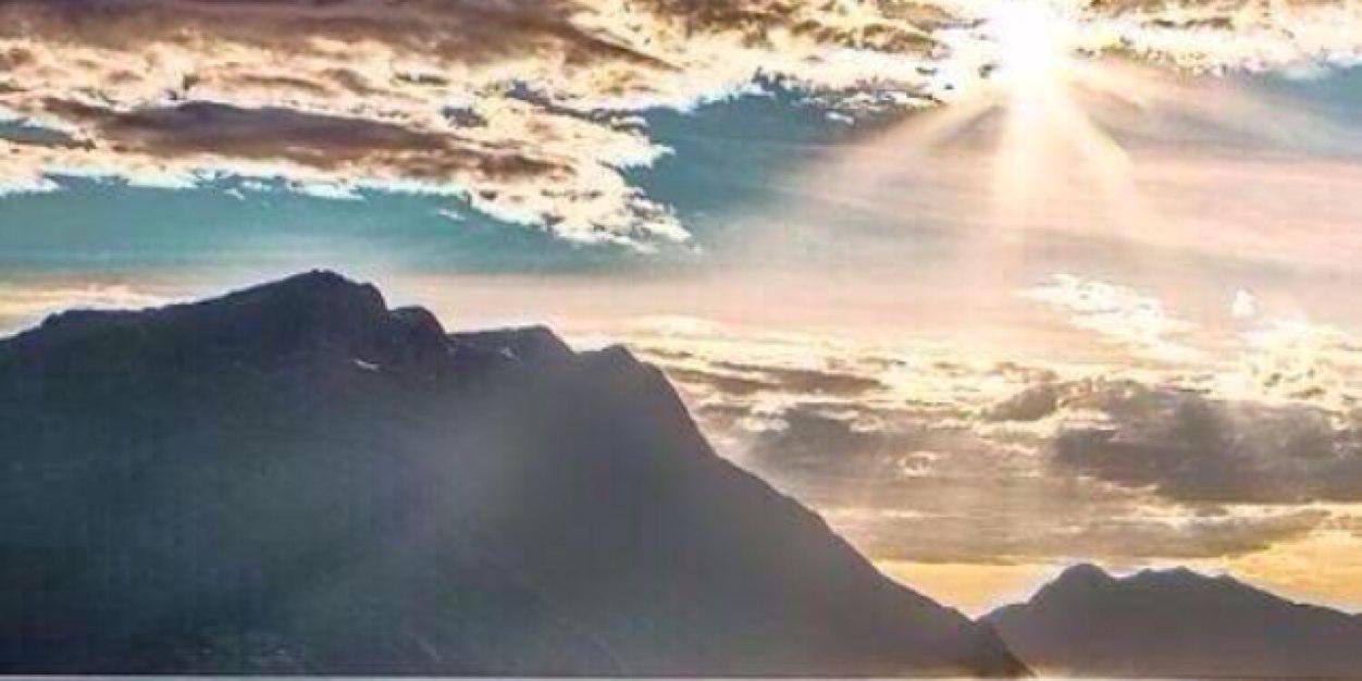 1491420's profile banner image
