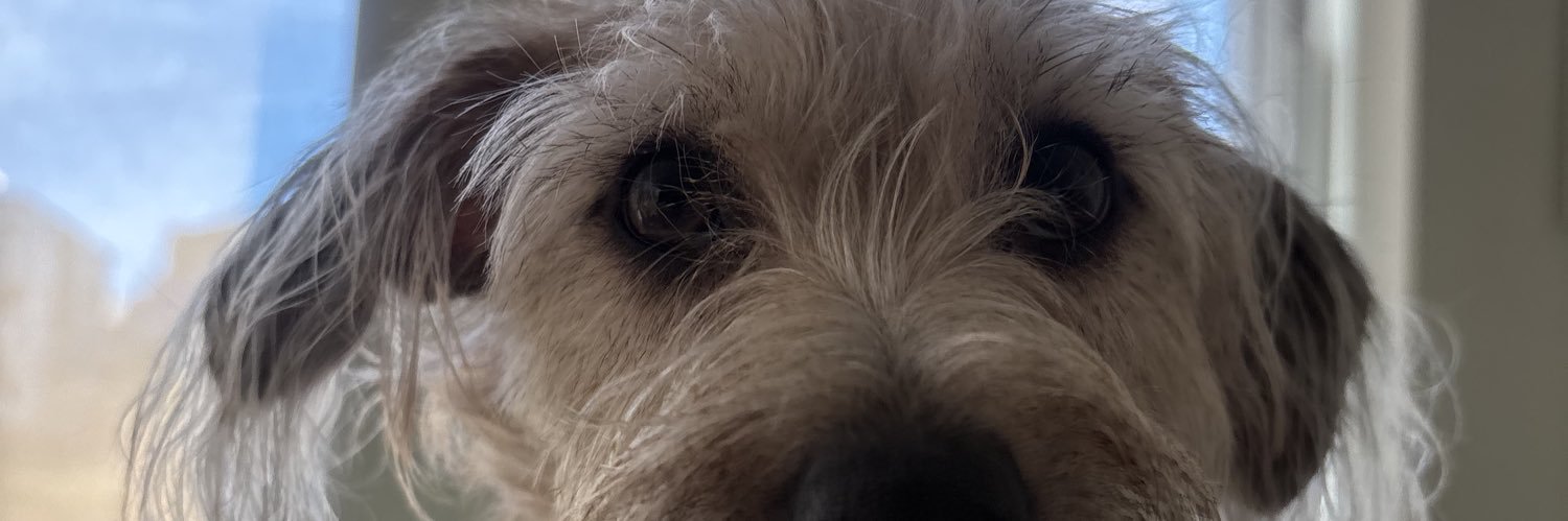 _martcha's profile banner image