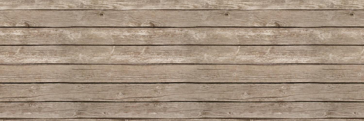 Carola_esc's profile banner image