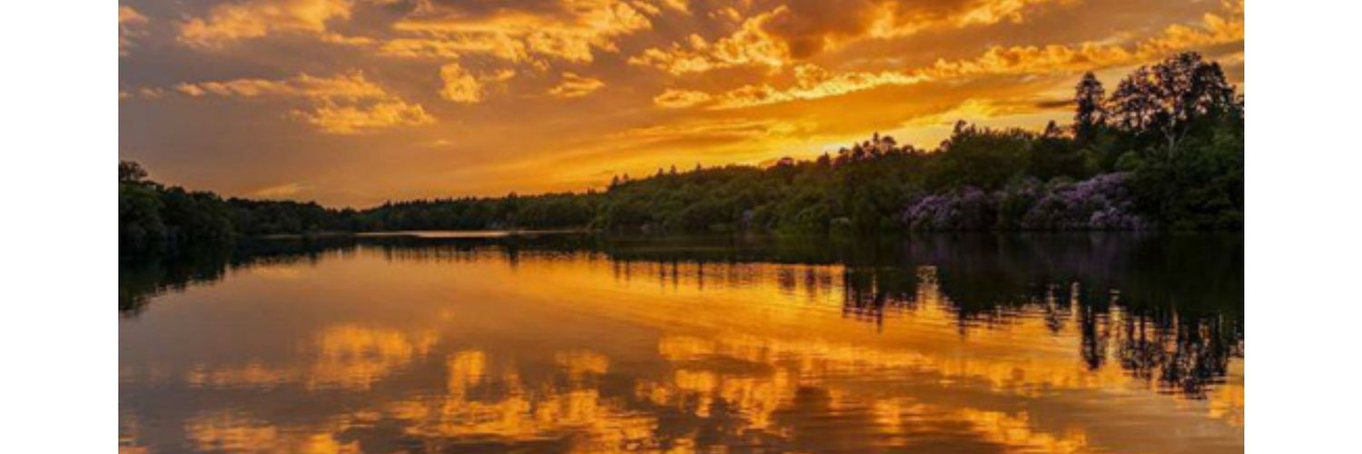 brandonhall95's profile banner image