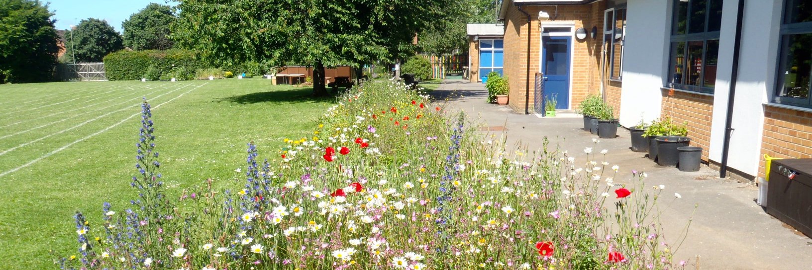 Wildlife Gardening Forum banner