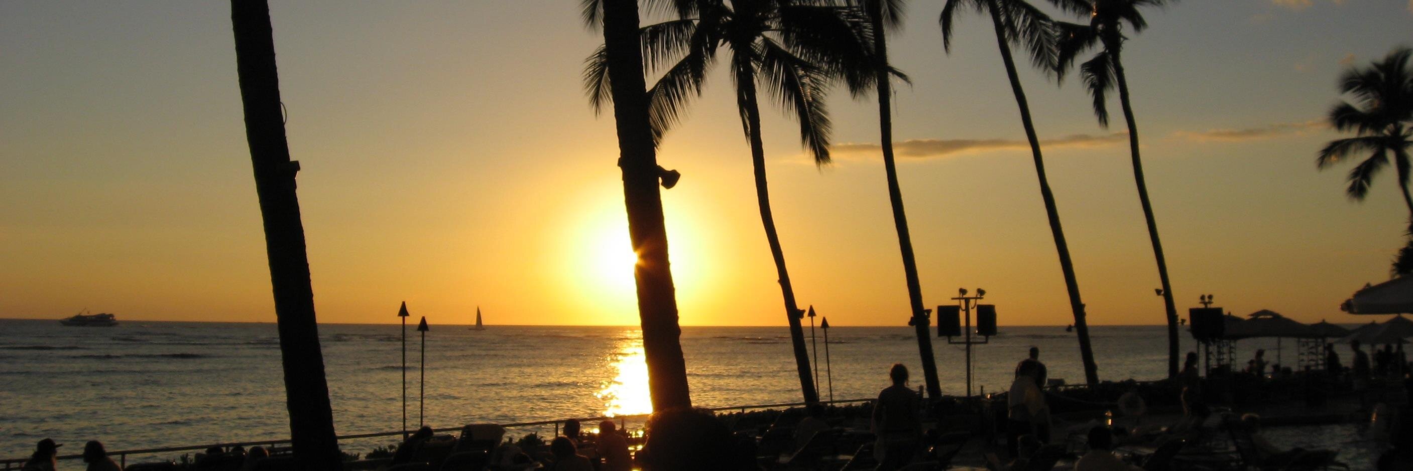 Susie 🌴🌺 banner