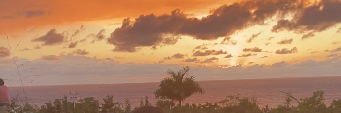 thay315's profile banner image
