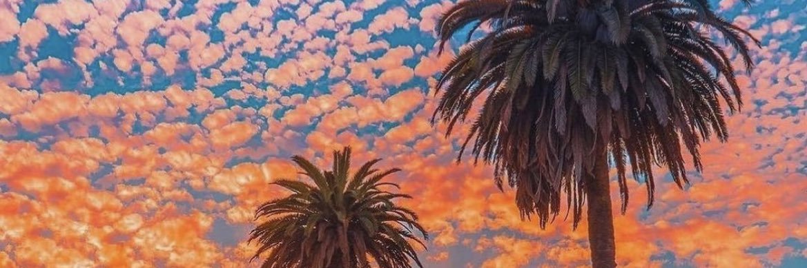 Kenneishaaa's profile banner image