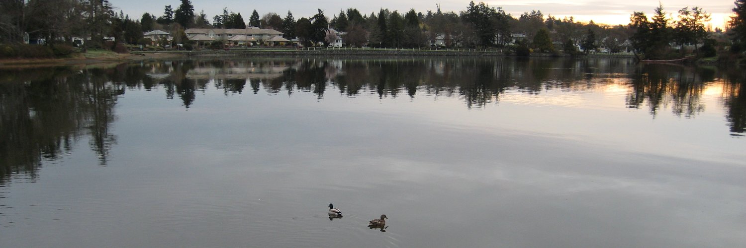 Dave's a real name banner