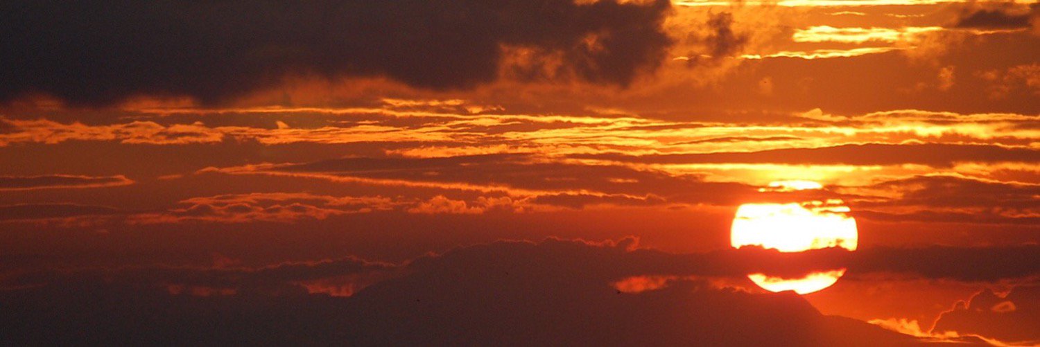 alyssashariross's profile banner image