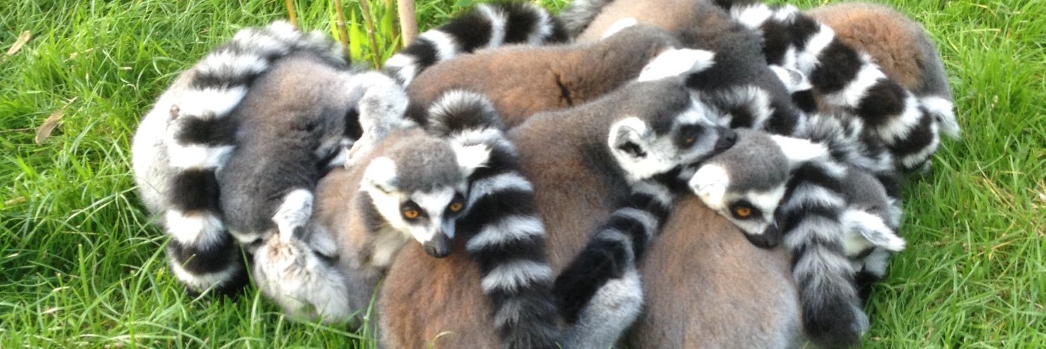 Holly Phillips banner