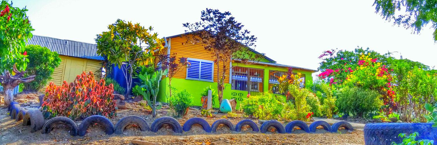 Dinora Rosales banner