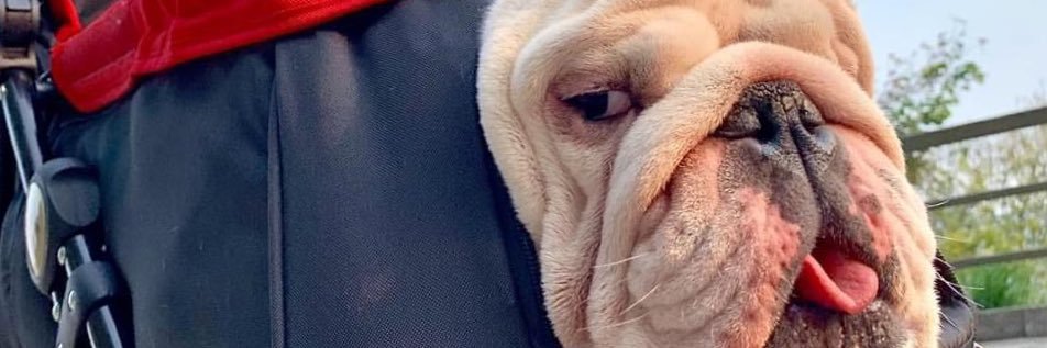 RealTmurph's profile banner image