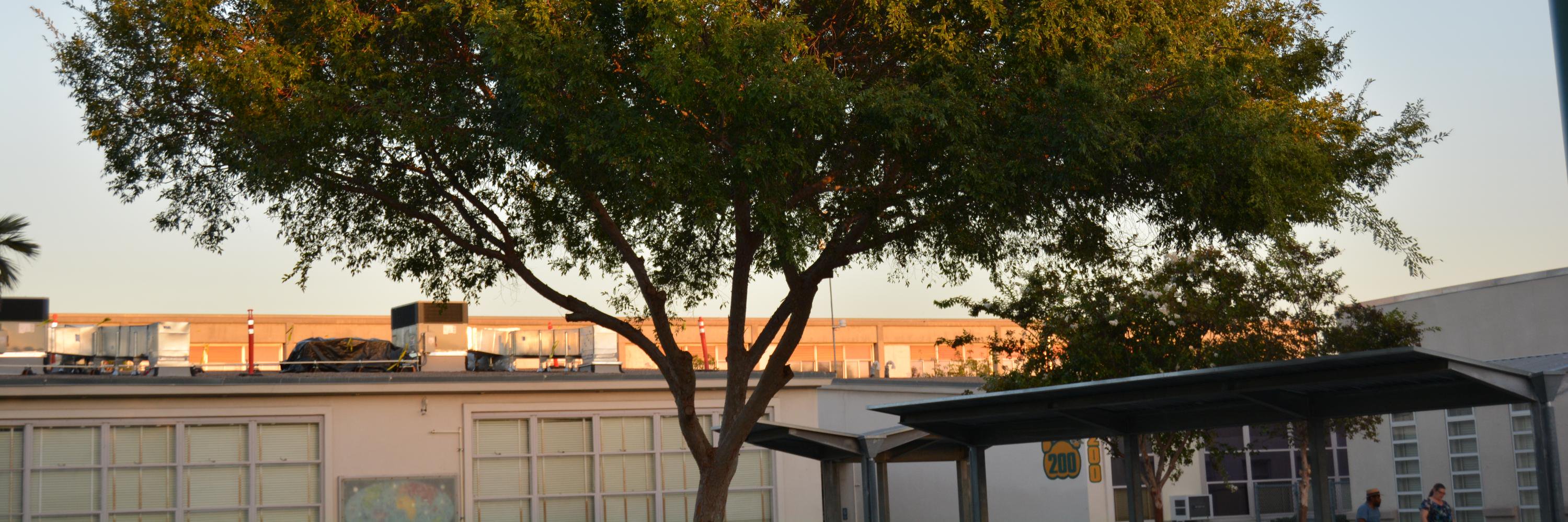 mannms_sdusd's profile banner image
