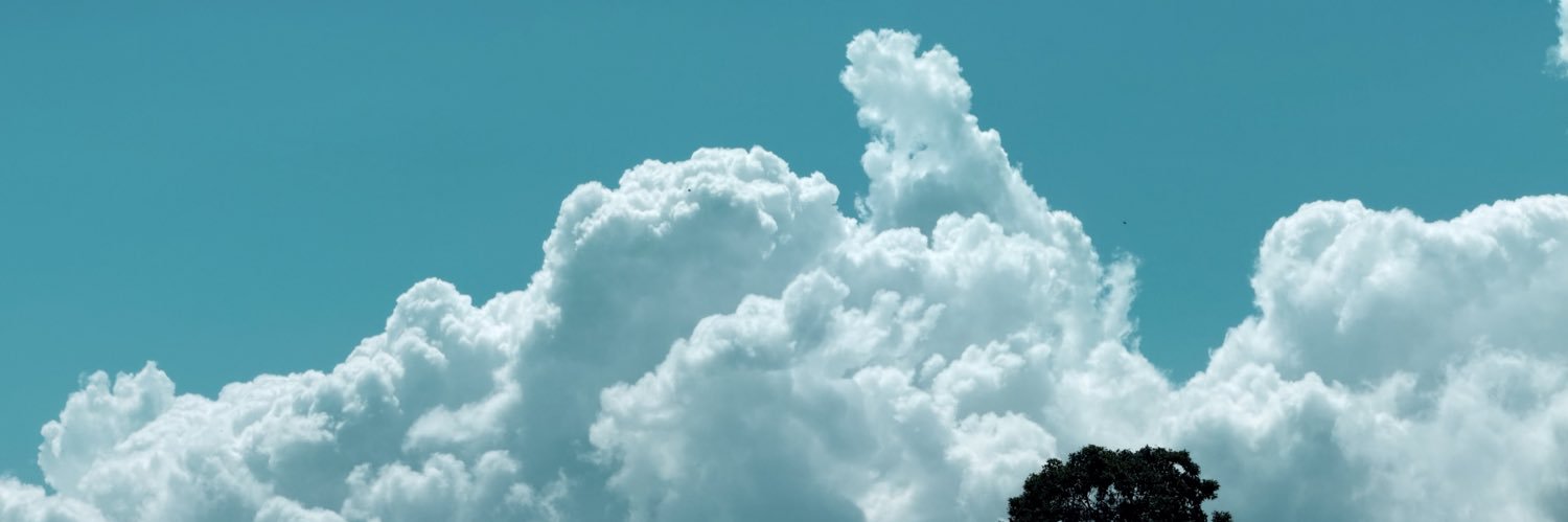 Tesp_'s profile banner image