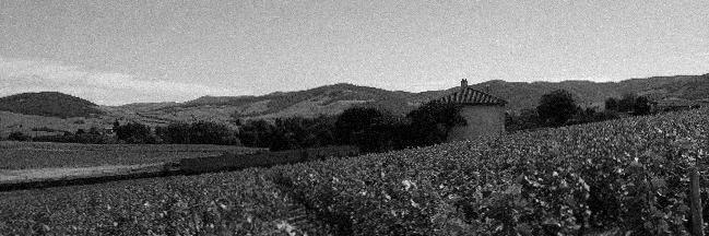 Domaine Mee Godard banner