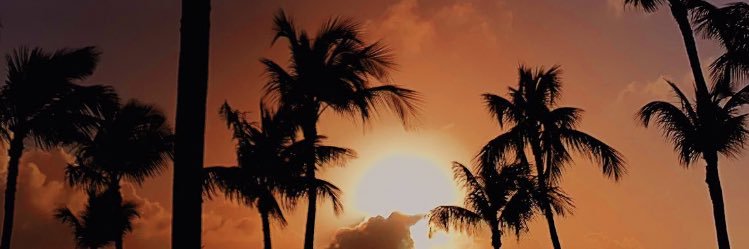 farshanzargaran's profile banner image