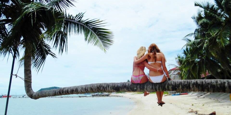 ashleighed's profile banner image