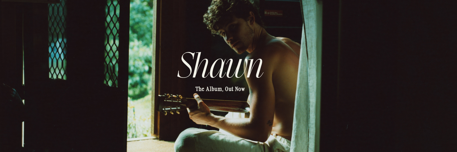 Shawn Mendes's banner