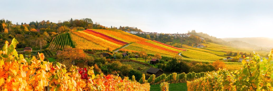EBarkhausen's profile banner image
