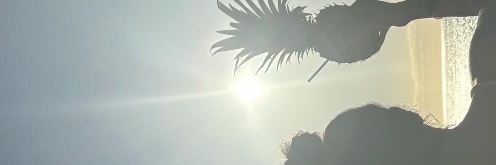 txlxnes_'s profile banner image