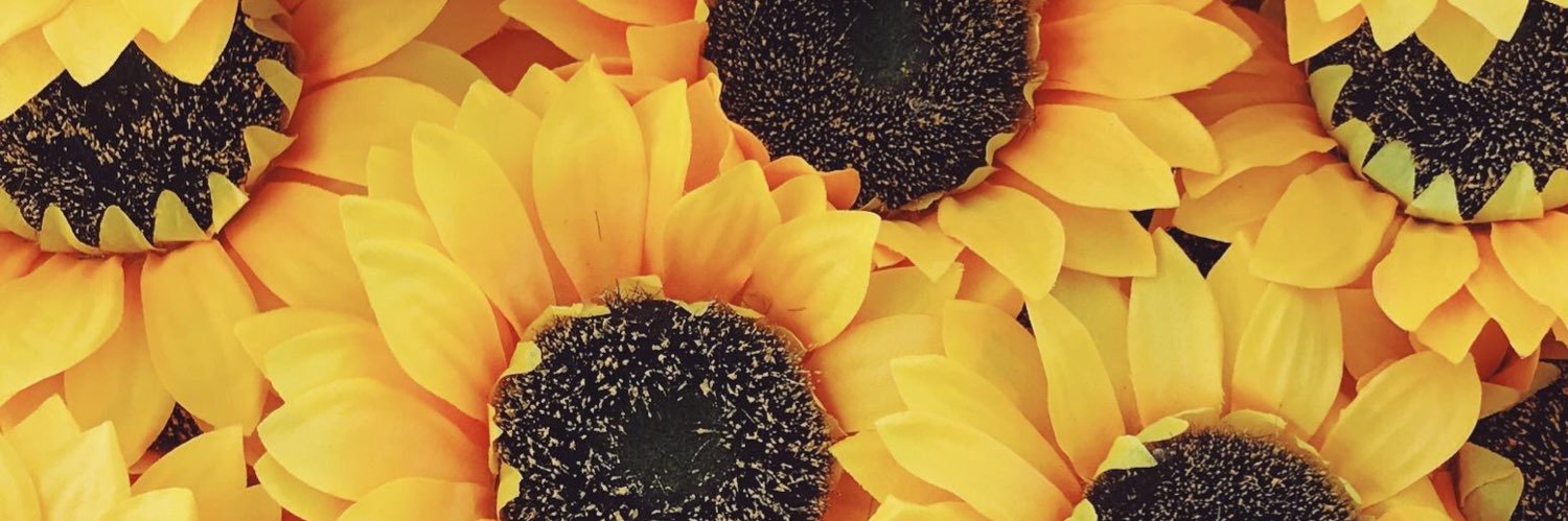 BromwynBrett's profile banner image