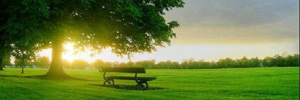 sunsidez's profile banner image