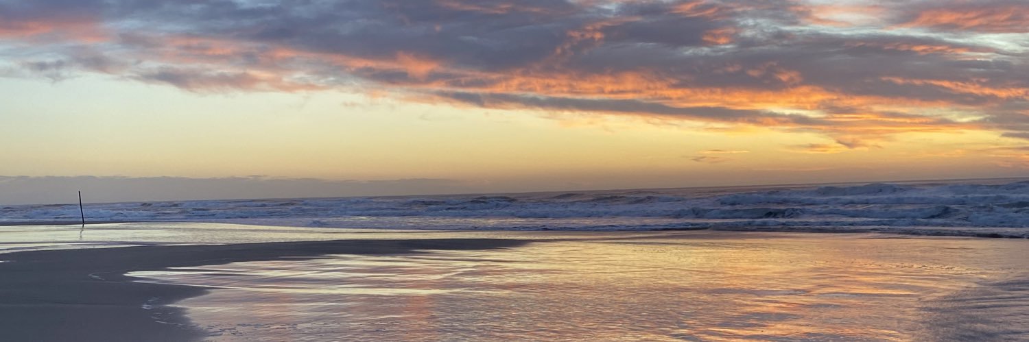 Crisferronatto's profile banner image