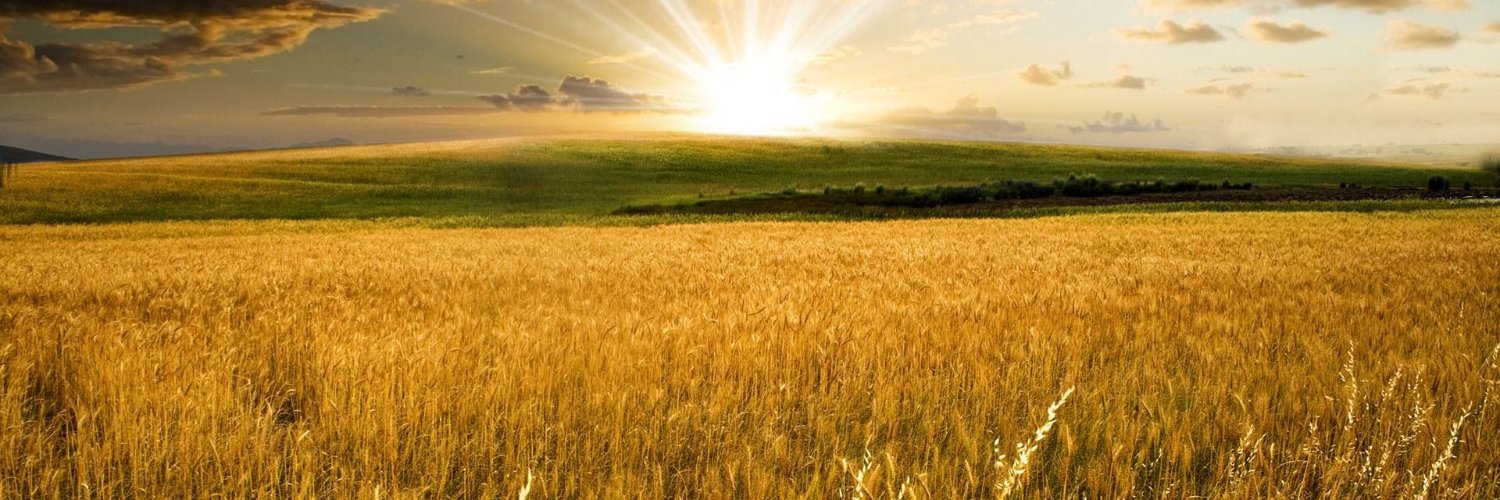 Chris | Purify banner