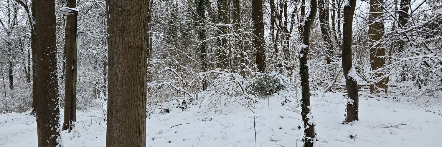 NBGuyver's profile banner image