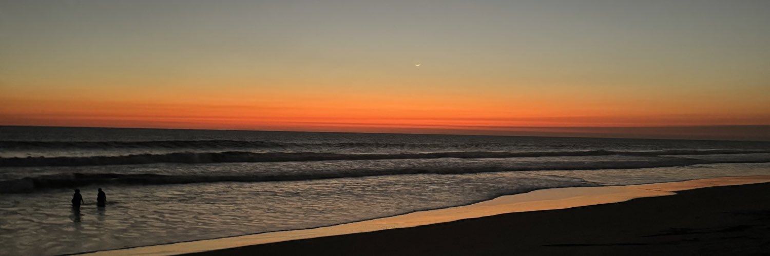willmelendez_'s profile banner image