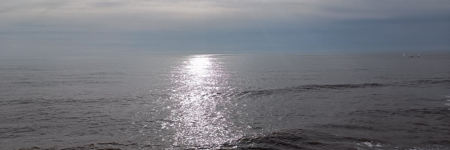 kingmatt899_III's profile banner image