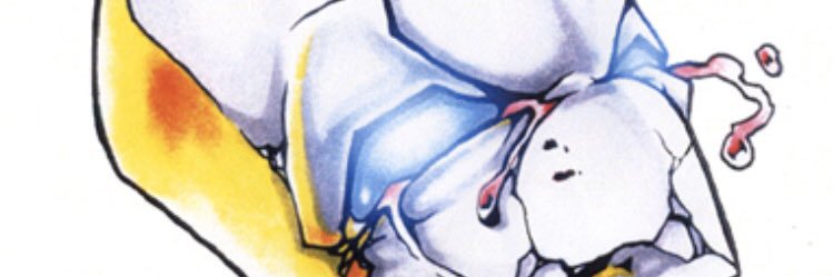 Visions of Gore banner