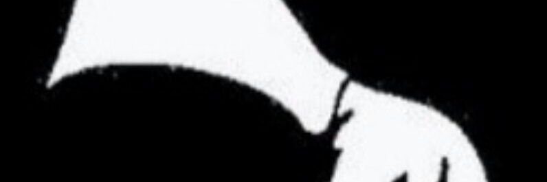 Peedee banner