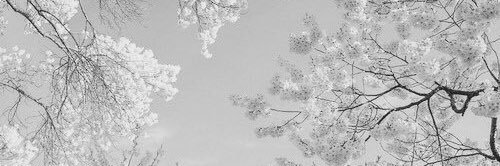 georgienicksx's profile banner image