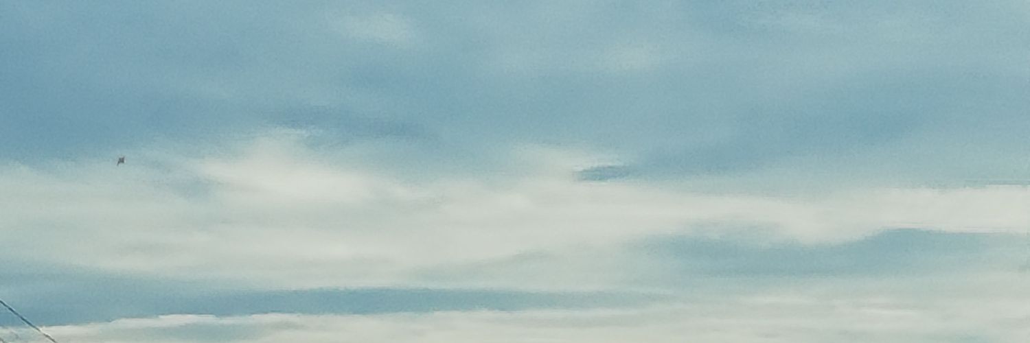 randyleoyong's profile banner image