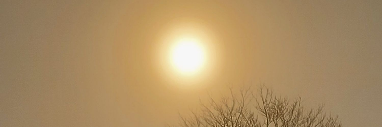 lynseybooth's profile banner image