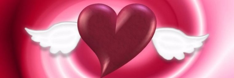 EvaQuinmo's profile banner image