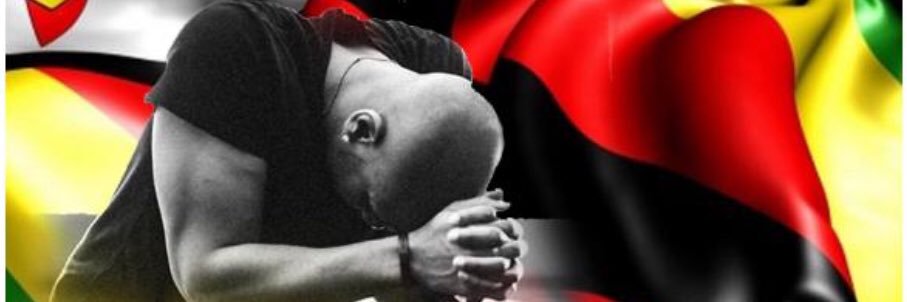 golddyZW's profile banner image