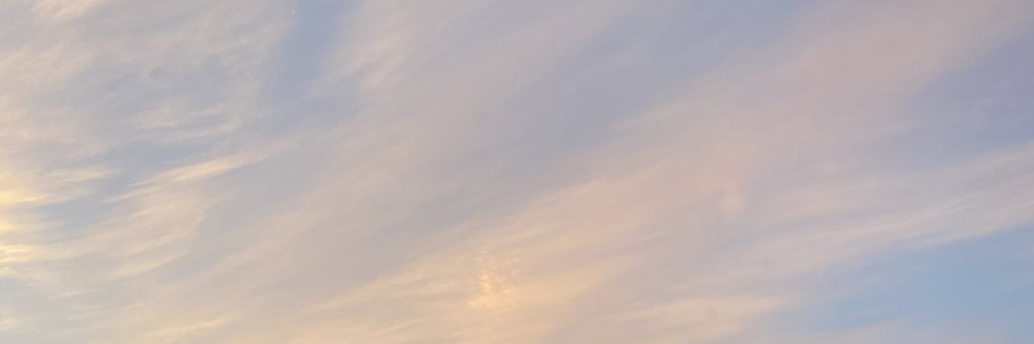 LisaLefrancois1's profile banner image