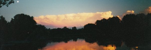 RitaTheContrarion banner